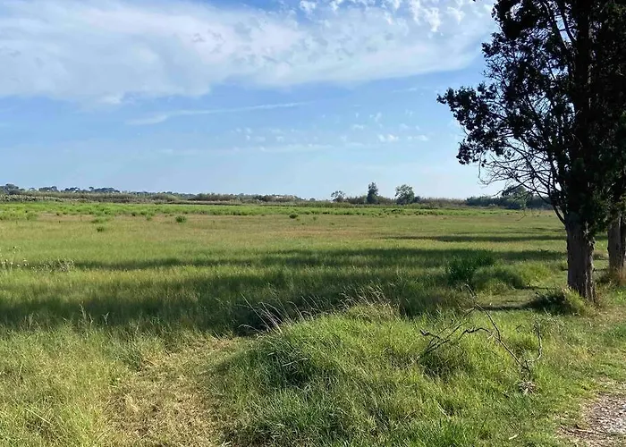 Casa vacanze Petite Maison Cosy Hyères